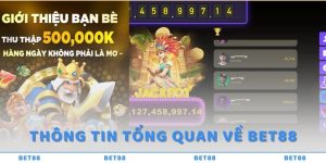 Thong-tin-tong-quan-ve-bet88