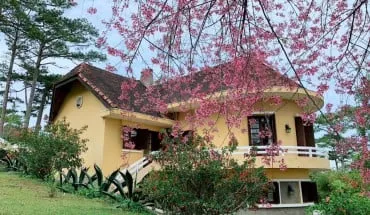 alt: Ana Mandara Villas Đà Lạt - điểm đến nghỉ dưỡng lý tưởng