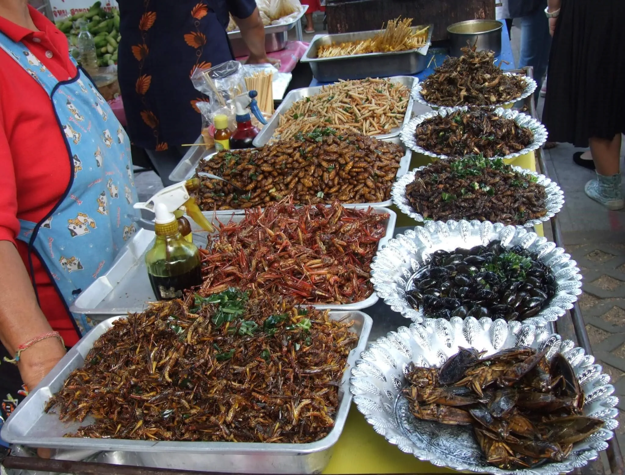 Alt: Các loại côn trùng được bày bán tại chợ Siem Reap