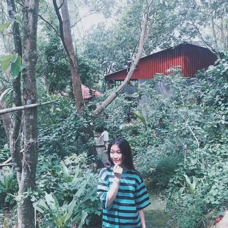 alt: Cảnh quan hùng vĩ trên núi Cấm