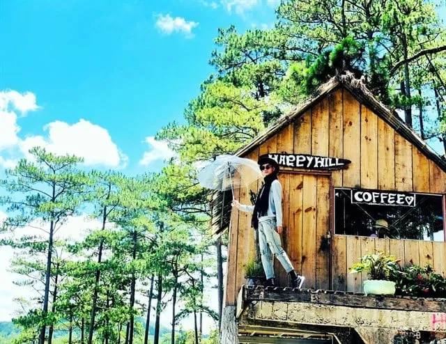 alt: Cầu thang gỗ dẫn lên nhà trên cây tại phim trường Happy Hill