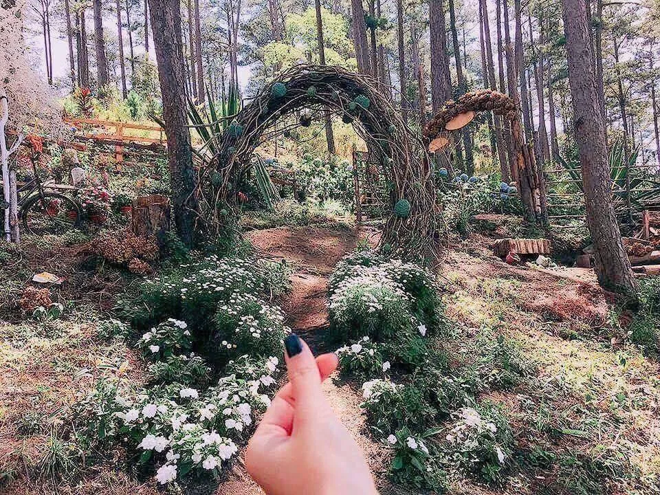 alt: Con đường thơ mộng giữa vườn hoa tại phim trường Happy Hill