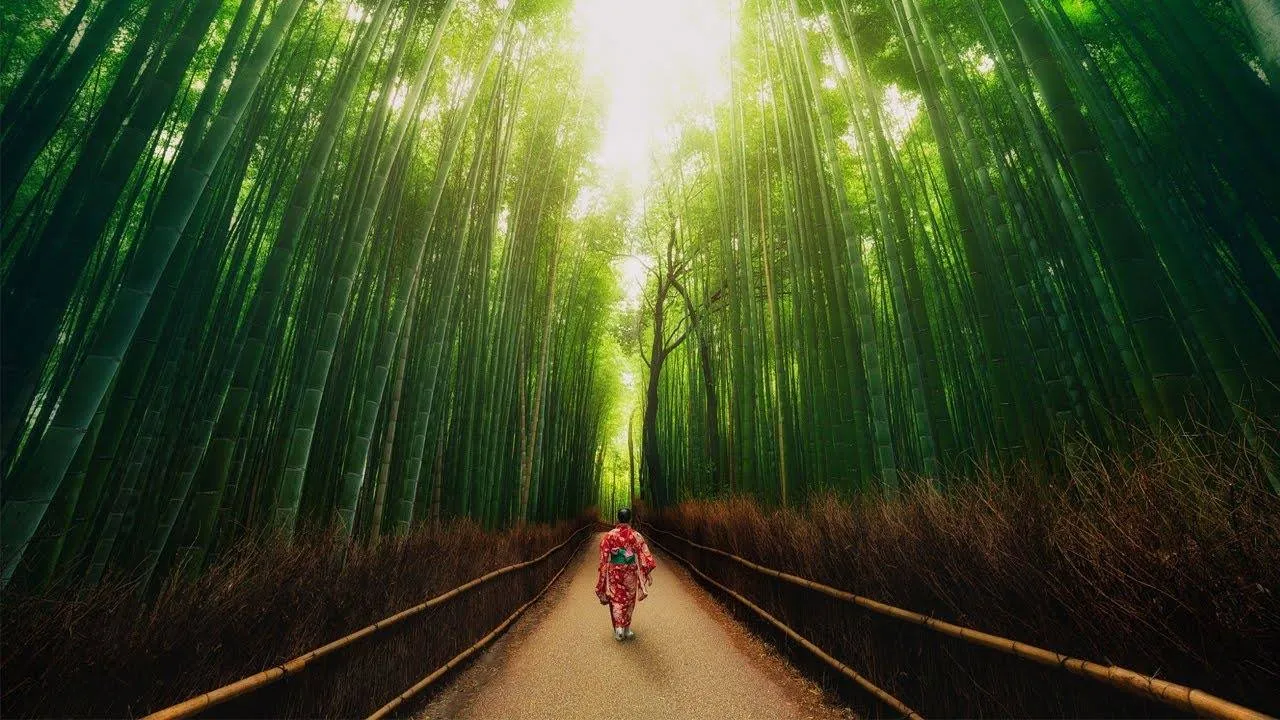 alt: Hình ảnh đền thờ Nhật Bản với cổng Torii màu đỏ nổi bật