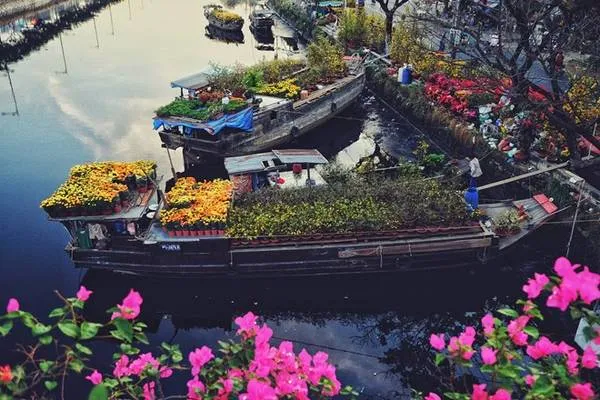Alt: Hoa Tết rực rỡ sắc màu