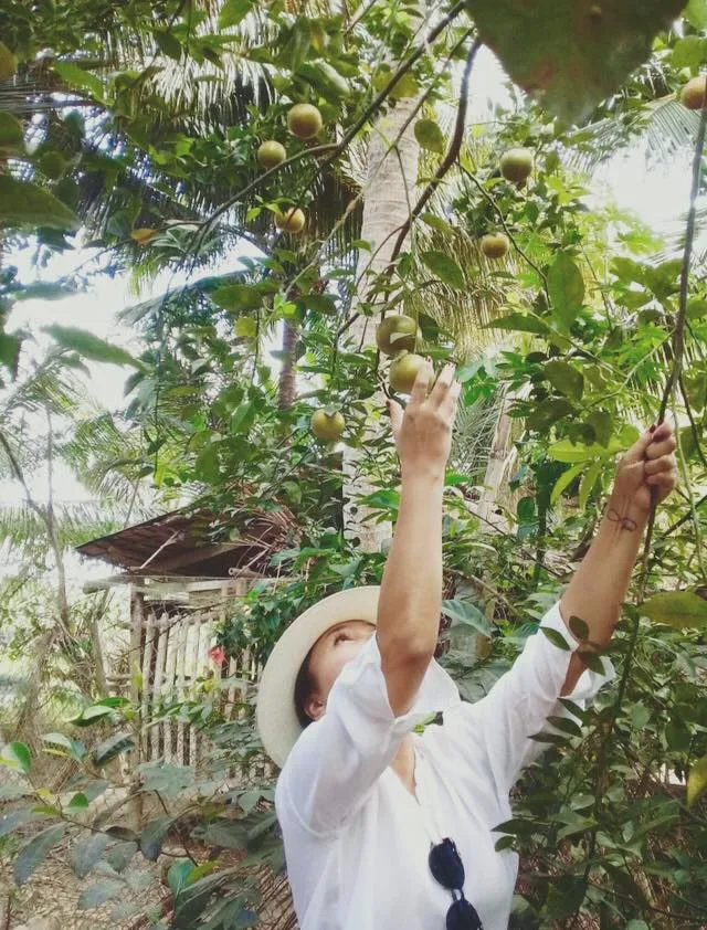 Alt: Khuôn viên xanh mát tại Cocohut Homestay