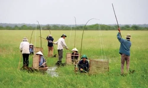 alt: Món ăn dân dã miền Tây với cá lóc nướng trui