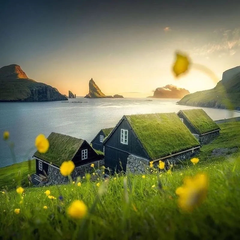 alt: Một ngôi làng ở quần đảo Faroe với những ngôi nhà mái cỏ nằm san sát nhau, tạo nên cảnh quan độc đáo.
