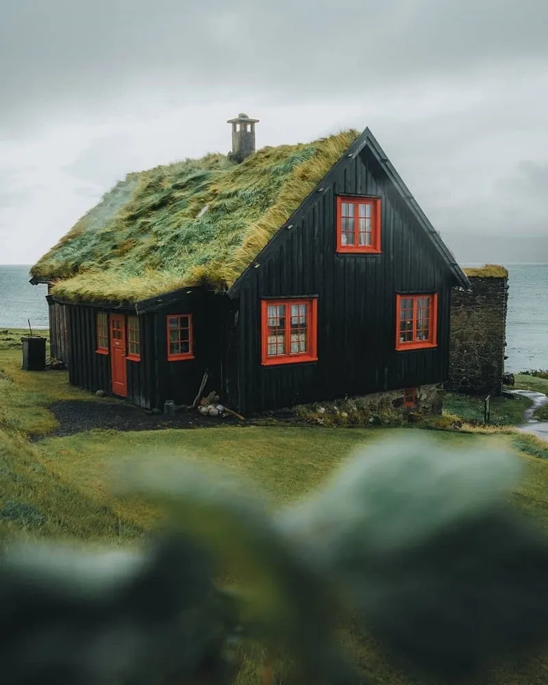 alt: Ngôi nhà mái cỏ truyền thống ở quần đảo Faroe với lớp cỏ xanh mướt phủ kín mái nhà.