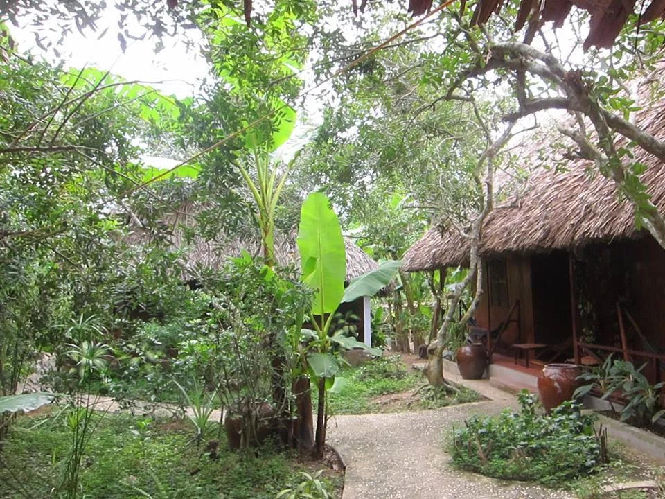 Alt: Phòng nghỉ tại Jardin Du Mekong Homestay Bến Tre