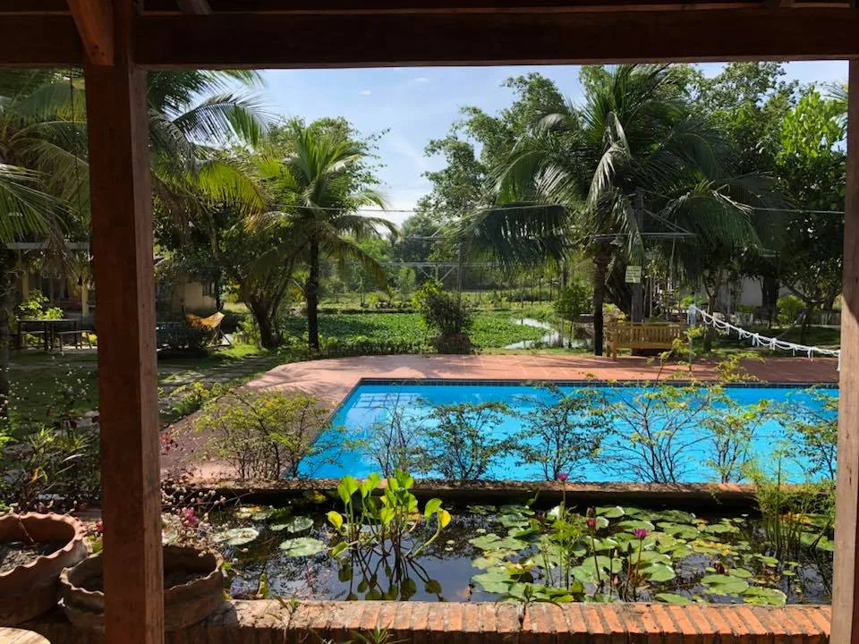 alt text: Bể bơi tại Lagi Farmstay