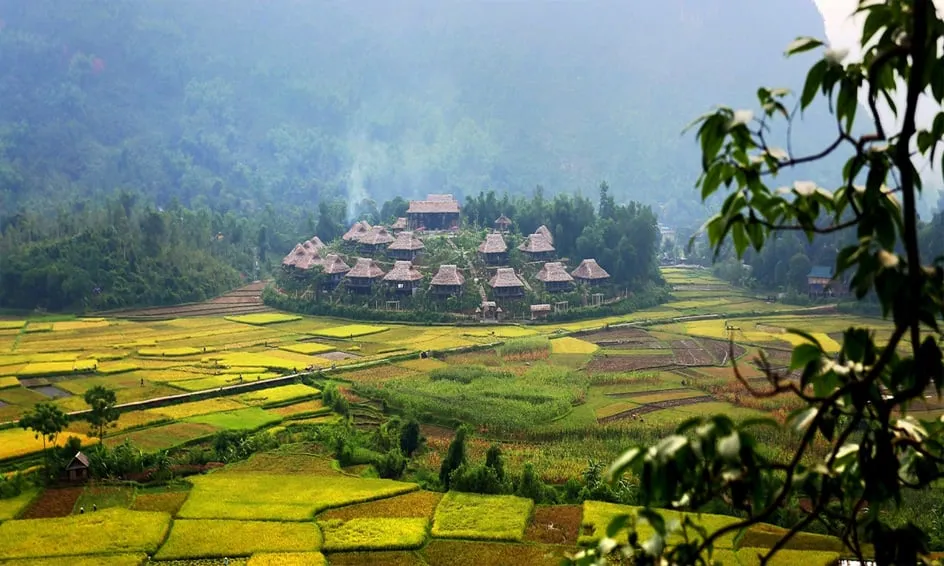 alt text: Cảnh quan bản Lác Mai Châu với những ngôi nhà sàn truyền thống nằm giữa cánh đồng lúa xanh mướt