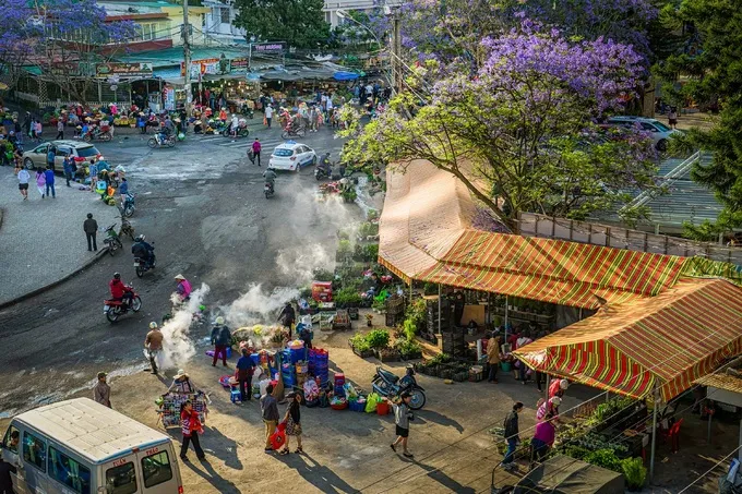 alt text: Chợ Đà Lạt được tô điểm bởi sắc tím của hoa Phượng tím