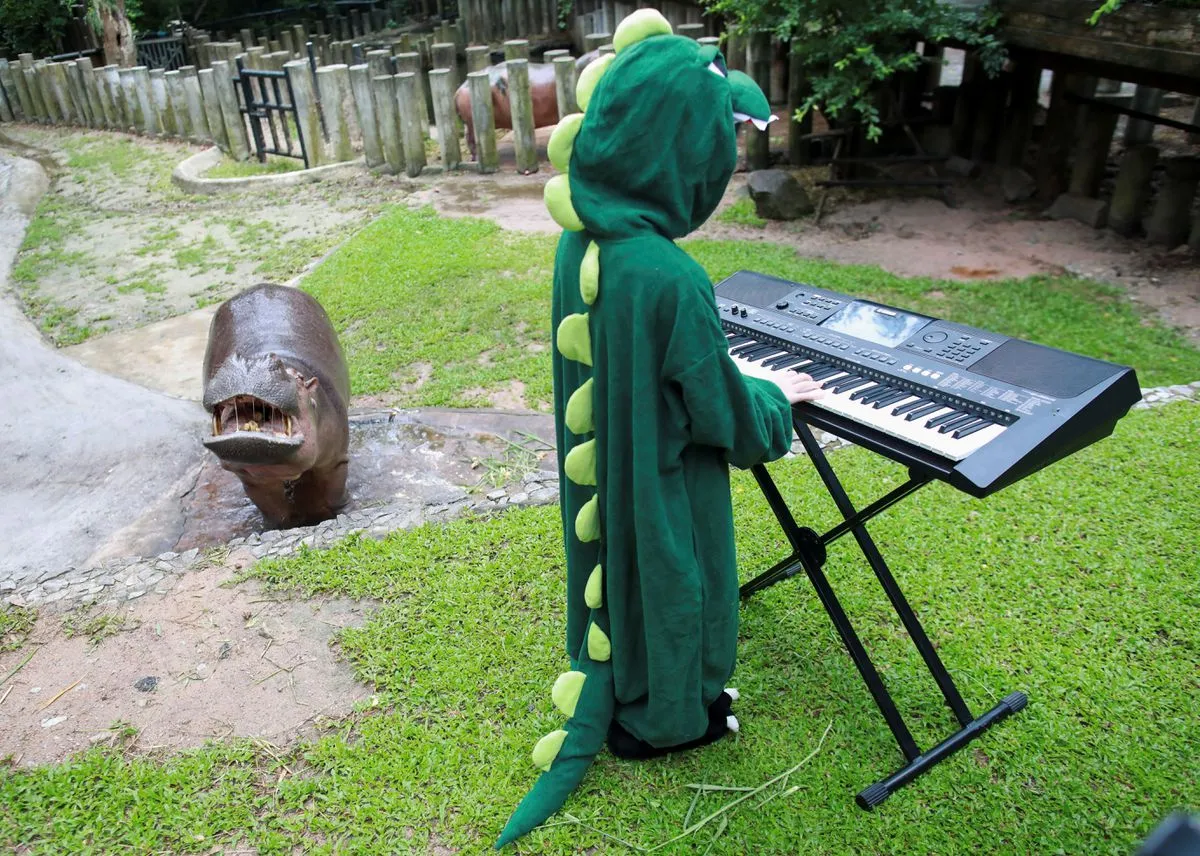 alt text: Cô bé Seenlada Supat chơi đàn piano cho các loài động vật tại sở thú Khao Kheow Open Zoo