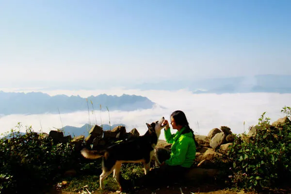 alt text: Cô gái và chú chó Husky ngắm mây trên núi