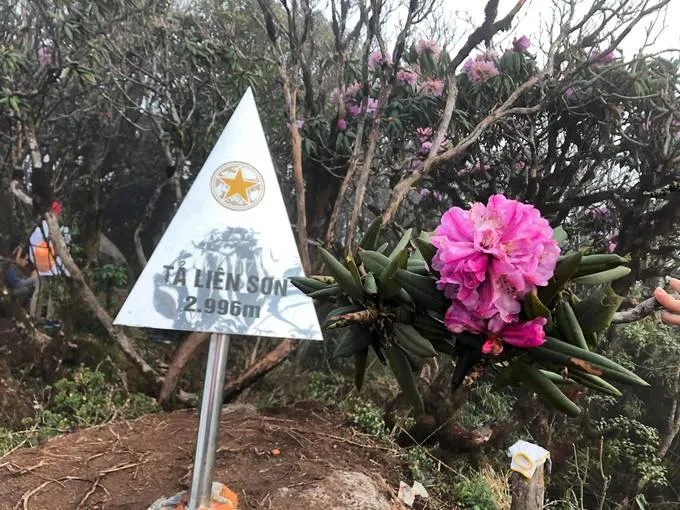 alt text: Du khách chinh phục đỉnh Tả Liên