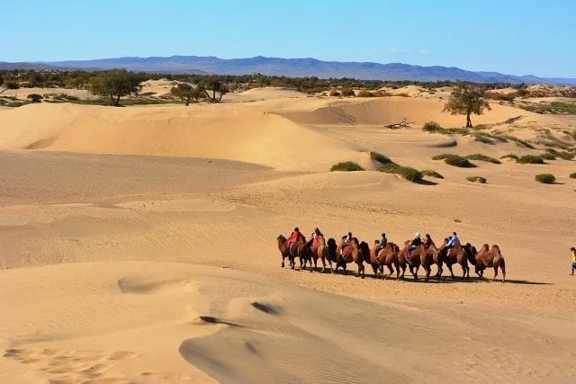 Alt text: Du khách cưỡi lạc đà trên cồn cát Elsen Tasarkhai, một phần của sa mạc Gobi.