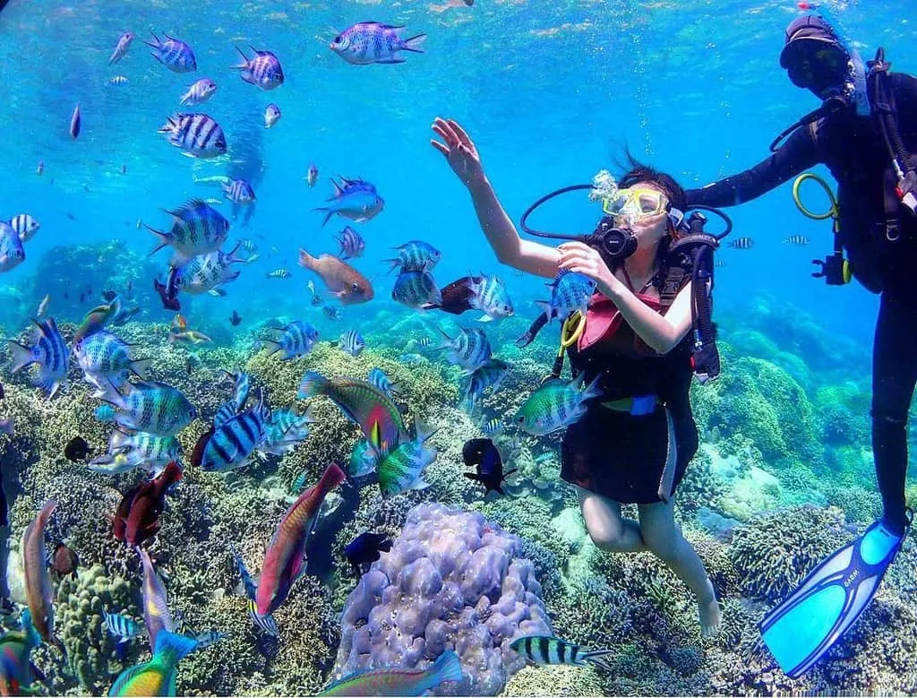 alt text: Du khách lặn ngắm san hô tại Nha Trang