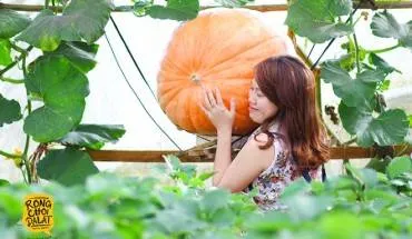 alt text: Du lịch nhà vườn Đà Lạt