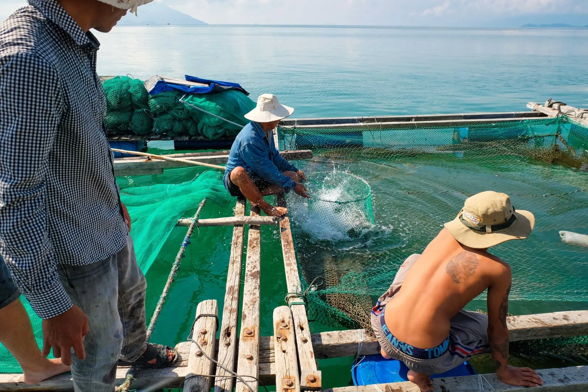 alt text: Hải sản tươi ngon trên đảo Hòn Lớn