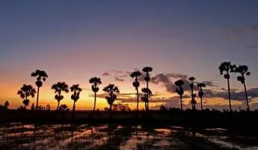 alt text: Hình ảnh chùa chiền ở Châu Đốc