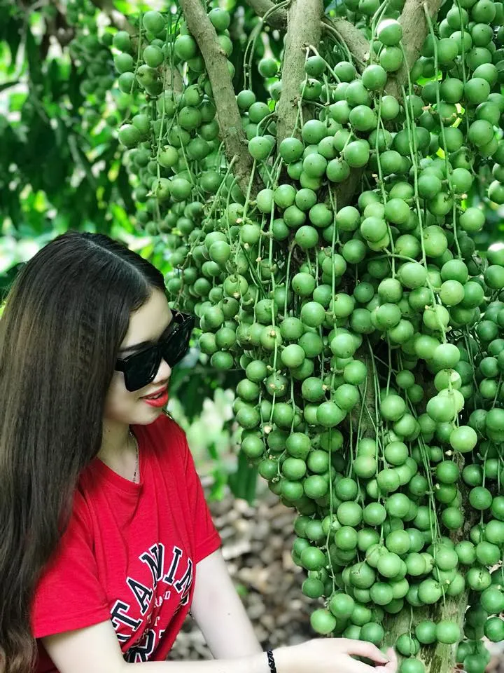 alt text: Hình ảnh dâu tây chín mọng tại vườn dâu Bác 5 Cảnh