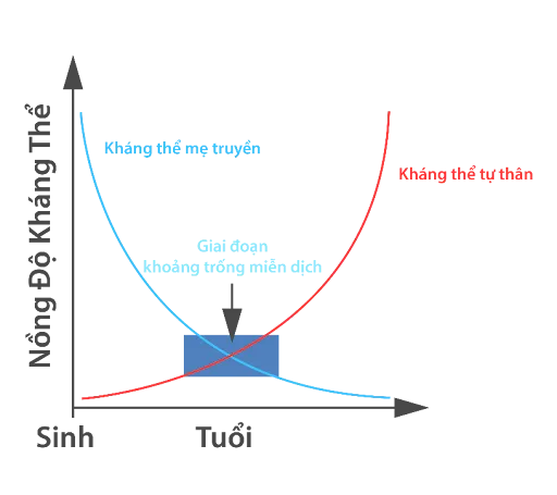 alt text: Hình ảnh trẻ sơ sinh đang được mẹ ôm ấp