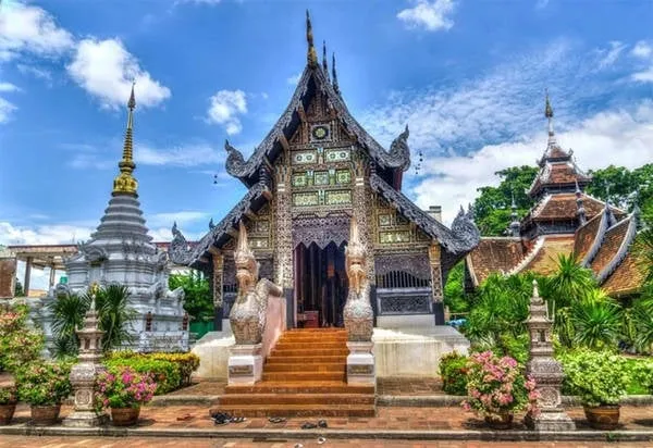 alt text: Hoa anh đào nở rộ tại vườn quốc gia Doi Inthanon, Chiang Mai, Thái Lan