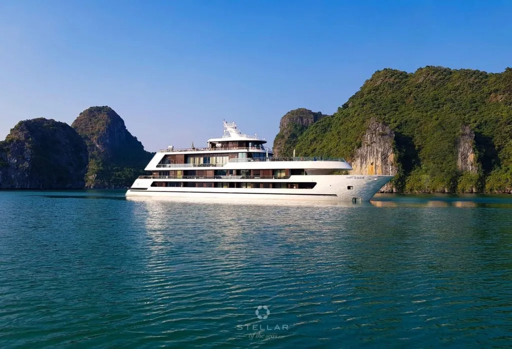 alt text:  Hoạt động trên du thuyền Stellar of the Seas