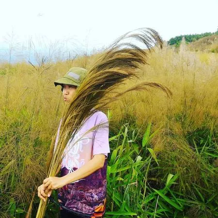 alt text: Khung cảnh cỏ lau và núi non hùng vĩ