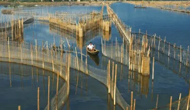 alt text: Khung cảnh nên thơ tại Đầm Chuồn, Huế