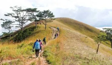 Alt text: Khung cảnh rừng Tà Năng