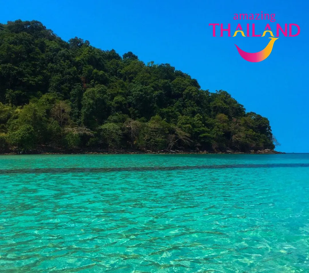 alt text: Khung cảnh thiên nhiên hoang sơ trên đảo Koh Chang với những cây cọ xanh mướt
