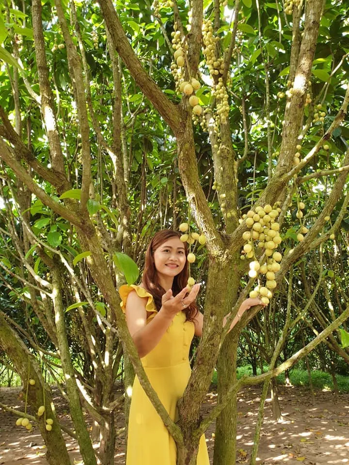alt text: Khung cảnh thơ mộng tại vườn dâu Bác 5 Cảnh
