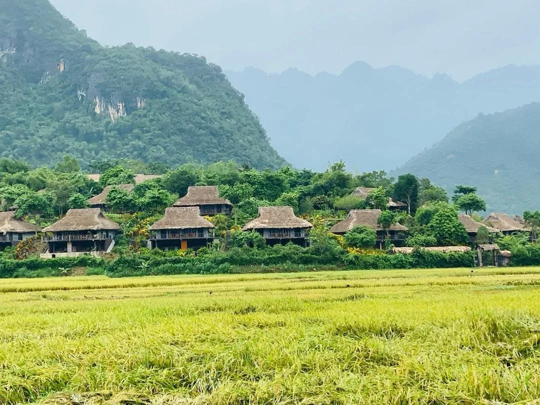 alt text: Khung cảnh yên bình của bản Lác Mai Châu nhìn từ trên cao