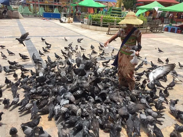 alt text: Ngư dân chèo thuyền đánh cá bằng chân trên hồ Inle, Myanmar