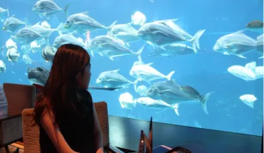 alt text: Nhà hàng dưới nước tại thủy cung S.E.A Aquarium Singapore