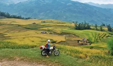 alt text: Ruộng bậc thang mùa lúa chín ở Tây Bắc