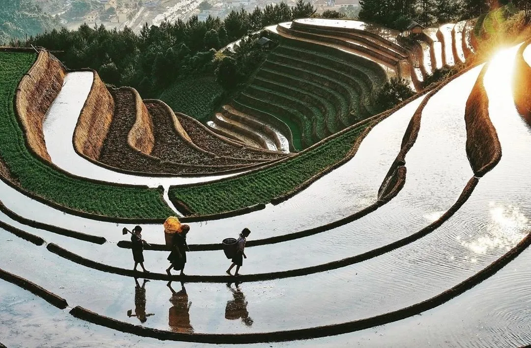 alt text: Ruộng bậc thang Tây Bắc mùa nước đổ, phản chiếu ánh nắng mặt trời