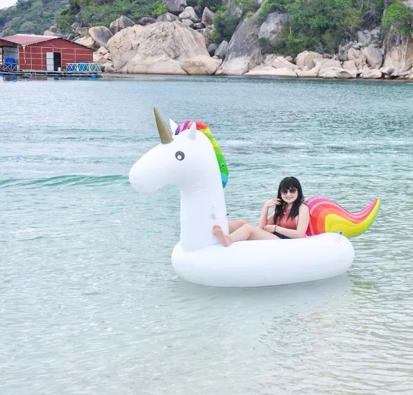 alt text: San hô tuyệt đẹp tại Bãi Nhà Cũ, Bình Ba