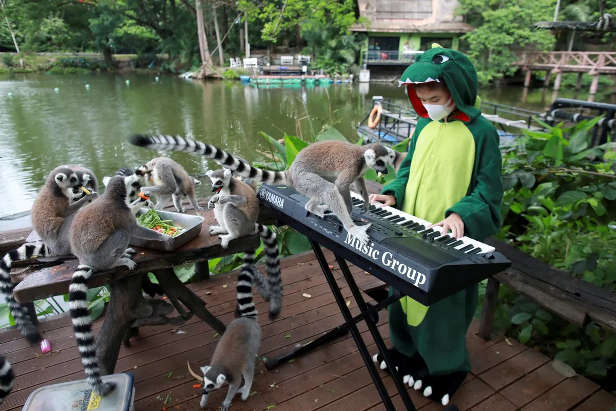 alt text: Seenlada Supat chơi đàn ukulele cho các loài linh trưởng tại sở thú Khao Kheow Open Zoo