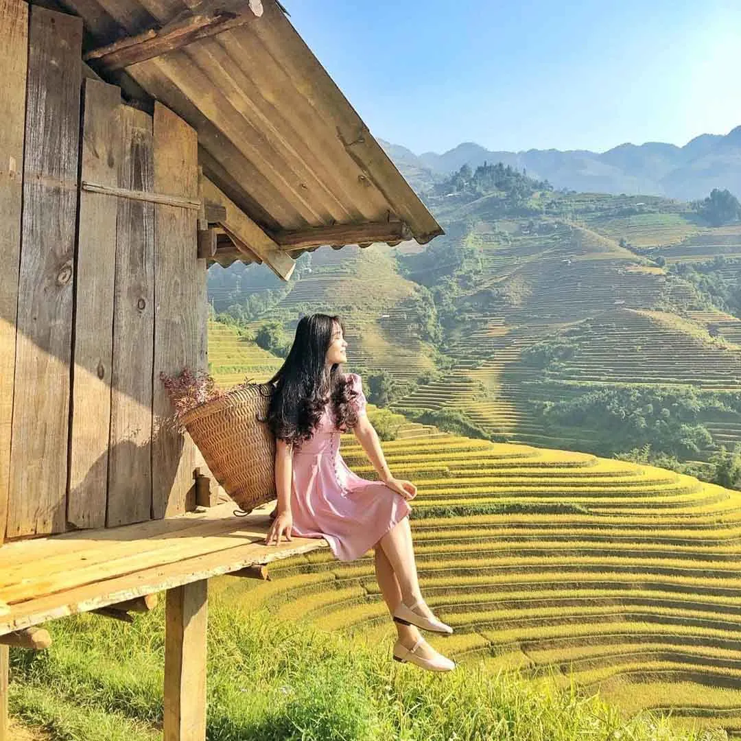 alt text: Toàn cảnh ruộng bậc thang Mù Cang Chải mùa lúa chín vàng óng