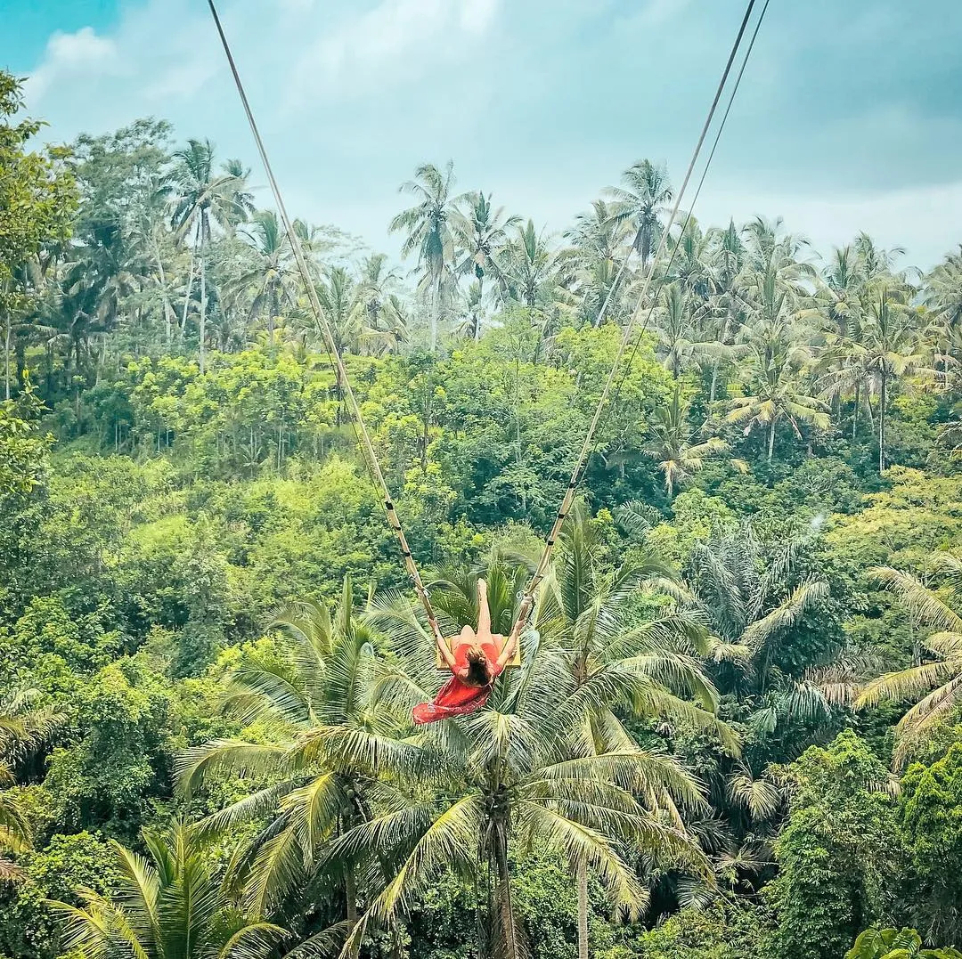alt text: Trải nghiệm Bali Swing tại ruộng bậc thang