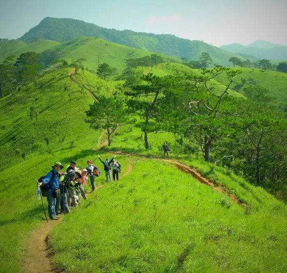 alt text: Trekking Tà Năng - Phan Dũng với cảnh quan hùng vĩ