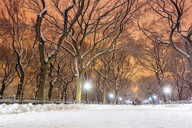 alt text: Trượt băng tại sân trượt băng Wollman ở Công viên Trung tâm, New York