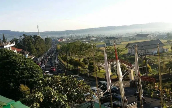 alt text: Vườn hoa rực rỡ sắc màu tại Cipanas, Indonesia