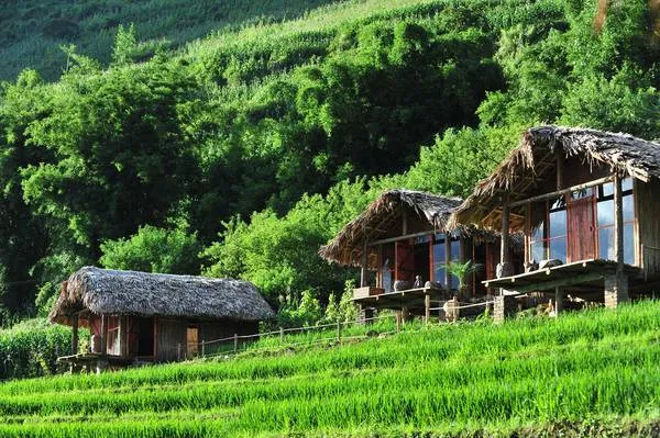 alt=&quot;Eco Palms House với kiến trúc nhà sàn truyền thống&quot;