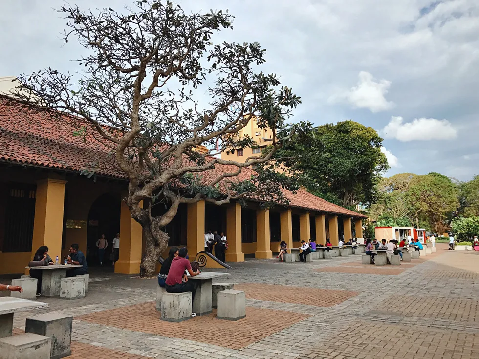 Ẩm thực đường phố Colombo