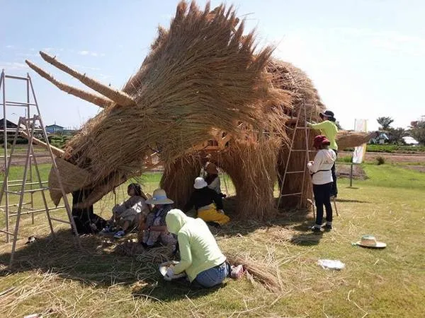 Ami Goda, một nghệ sĩ địa phương bắt đầu thực hiện ý tưởng tạo hình tượng rơm nghệ thuật ở vùng này từ năm 2013. 