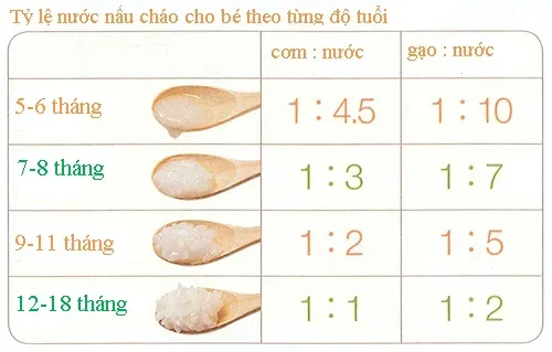Ăn dặm Kiểu Nhật - tỷ lệ nước nấu cháo