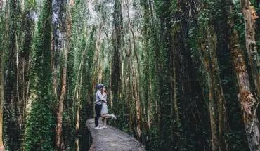 Ảnh cưới bụi tại Việt Nam